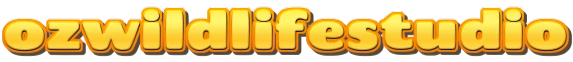Logo ozwildlifestudio